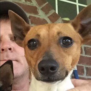 Meet your Posher, Troy